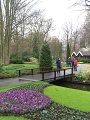 Keukenhof